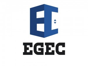 المجموعة الهندسية للمصاعد والاستشارات