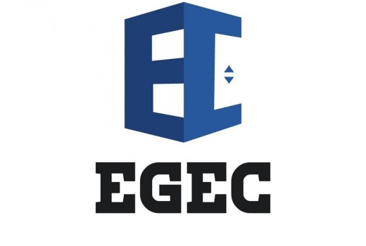 المجموعة الهندسية للمصاعد والاستشارات